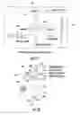 Fig. 12 - Cellular probe device, system and analysis method