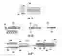 Fig. 13 - Cellular probe device, system and analysis method