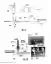 Fig. 14 - Cellular probe device, system and analysis method