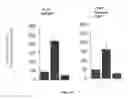 Fig. 03 - IMMEDIATE CHROMATIN IMMUNOPRECIPITATION AND ANALYSIS