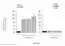 Fig. 06 - IMMEDIATE CHROMATIN IMMUNOPRECIPITATION AND ANALYSIS