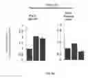 Fig. 20 - IMMEDIATE CHROMATIN IMMUNOPRECIPITATION AND ANALYSIS