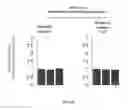 Fig. 21 - IMMEDIATE CHROMATIN IMMUNOPRECIPITATION AND ANALYSIS