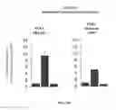 Fig. 22 - IMMEDIATE CHROMATIN IMMUNOPRECIPITATION AND ANALYSIS