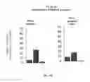 Fig. 26 - IMMEDIATE CHROMATIN IMMUNOPRECIPITATION AND ANALYSIS