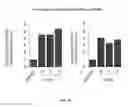 Fig. 28 - IMMEDIATE CHROMATIN IMMUNOPRECIPITATION AND ANALYSIS