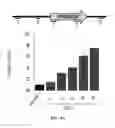Fig. 30 - IMMEDIATE CHROMATIN IMMUNOPRECIPITATION AND ANALYSIS