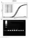 Fig. 09 - Methods and compositions for detecting antibiotic resistant bacteria