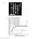Fig. 07 - DNA sequencing and epigenome analysis