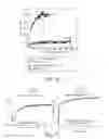 Fig. 14 - APPARATUS AND METHODS FOR KINETIC ANALYSIS AND DETERMINATION OF NUCLEIC ACID SEQUENCES