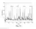 Fig. 22 - APPARATUS AND METHODS FOR KINETIC ANALYSIS AND DETERMINATION OF NUCLEIC ACID SEQUENCES