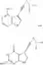 Fig. 48 - NUCLEOTIDE ANALOGS