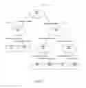 Fig. 22 - Diagnosis of sepsis