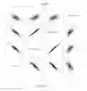 Fig. 33 - Diagnosis of sepsis