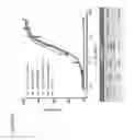 Fig. 05 - THERAPEUTIC AND DIAGNOSTIC METHODS FOR IL-33-MEDIATED DISORDERS