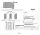 Fig. 02 - Method for the quantitative analysis of nucleic acid fragmentation and amplificability