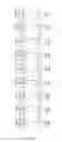 Fig. 06 - Method for the quantitative analysis of nucleic acid fragmentation and amplificability