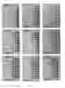 Fig. 19 - Method for the quantitative analysis of nucleic acid fragmentation and amplificability