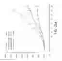 Fig. 29 - Method for predicting response to breast cancer therapeutic agents and method of treatment of breast cancer