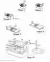 Fig. 03 - CELLULAR ARRAYS AND METHODS OF DETECTING AND USING GENETIC DISORDER MARKERS