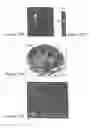 Fig. 05 - CELLULAR ARRAYS AND METHODS OF DETECTING AND USING GENETIC DISORDER MARKERS