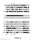 Fig. 07 - CELLULAR ARRAYS AND METHODS OF DETECTING AND USING GENETIC DISORDER MARKERS