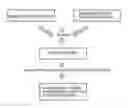 Fig. 01 - ANISOTROPIC COMPLEX SINTERED MAGNET COMPRISING MnBi WHICH HAS IMPROVED MAGNETIC PROPERTIES AND METHOD OF PREPARING THE SAME