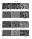 Fig. 09 - FLAME-RETARDANT MAGNESIUM ALLOY AND METHOD OF MANUFACTURING SAME