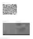 Fig. 03 - Method of fabricating an aluminum matrix composite and an aluminum matrix composite fabricated by the same