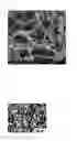 Fig. 04 - Method of fabricating an aluminum matrix composite and an aluminum matrix composite fabricated by the same