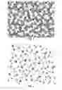 Fig. 02 - AMORPHOUS THIN METAL FILM