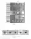 Fig. 05 - Structure for Use in a Corrosive Environment