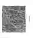 Fig. 07 - SYSTEMS AND METHODS FOR FORMATION OF EXTENDED LENGTH NANOSTRUCTURES ON NANOFILAMENT SUPPORT