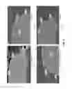 Fig. 04 - Electroless nickel plating solution, electroless nickel plating method using same, and flexible nickel plated layer formed by using same