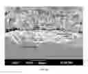 Fig. 18 - ANTICORROSIVE COATINGS, PROCESSES AND USES THEREOF