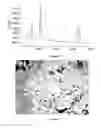 Fig. 07 - Production of graphene and graphane