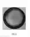 Fig. 09 - METHOD OF PRODUCING HIGH-PURITY CARBIDE MOLD