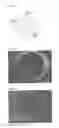 Fig. 03 - Carbon fiber bundle and stabilized fiber bundle