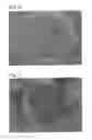 Fig. 04 - Carbon fiber bundle and stabilized fiber bundle