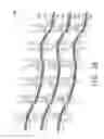 Fig. 07 - Knit reinforcing fabric