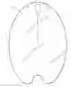 Fig. 01 - Splash Back Shield