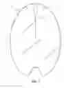 Fig. 02 - Splash Back Shield