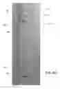Fig. 06 - Collapsible canopy
