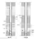 Fig. 05 - DEPLOYABLE BAFFLE