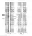 Fig. 06 - DEPLOYABLE BAFFLE
