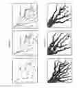 Fig. 05 - Gridless simulation of a fluvio-deltaic environment