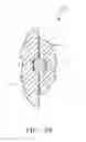 Fig. 04 - Splined dog-bone seal