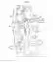 Fig. 03 - HIGH PRESSURE FUEL SUPPLYING APPARATUS OF ENGINE