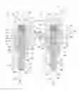 Fig. 01 - Fuel injector