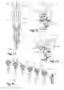 Fig. 04 - Distributed fuel injection equipment
